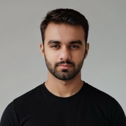 Ali Zain - Project Manager